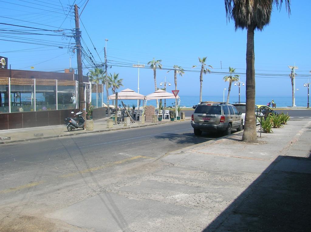 Iquique Beachfront Стая снимка